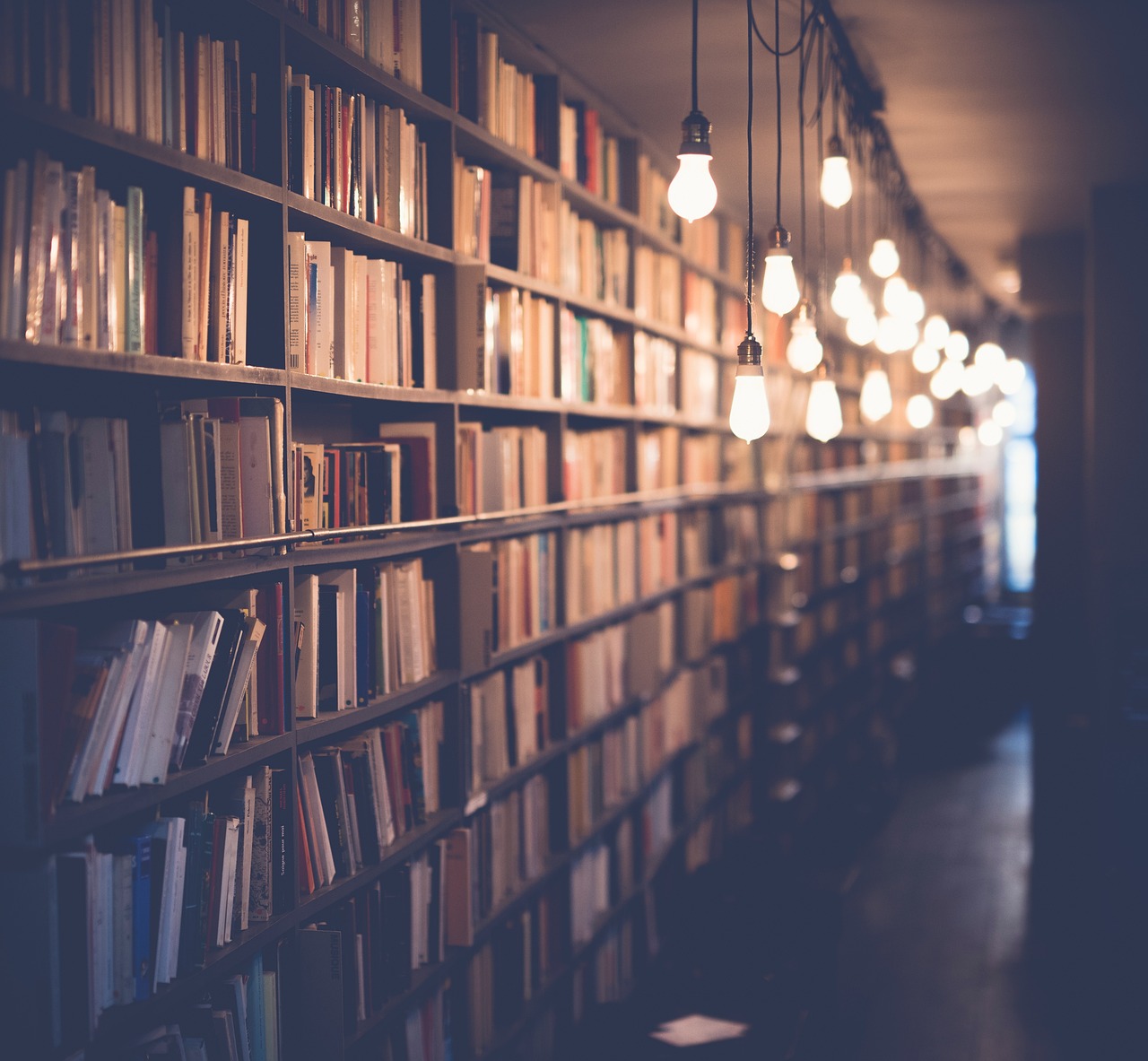 Home books, library, room, school, study, knowledge, education, shelf, light, bulb, books, books, books, library, library, library, library, library, school, school, school, study, study, education, education